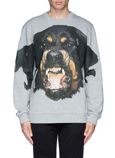 givenchy rottweiler hoodie|givenchy rottweiler print sweatshirt.